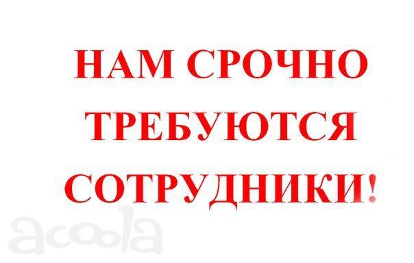 Помощник руководителя
