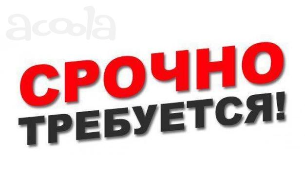 Помощник торгового преставителя